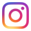 Instagram logo which links to the Y's Instagram page